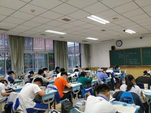 五一今日爆料 校园生活,揭秘校园生活新风尚”